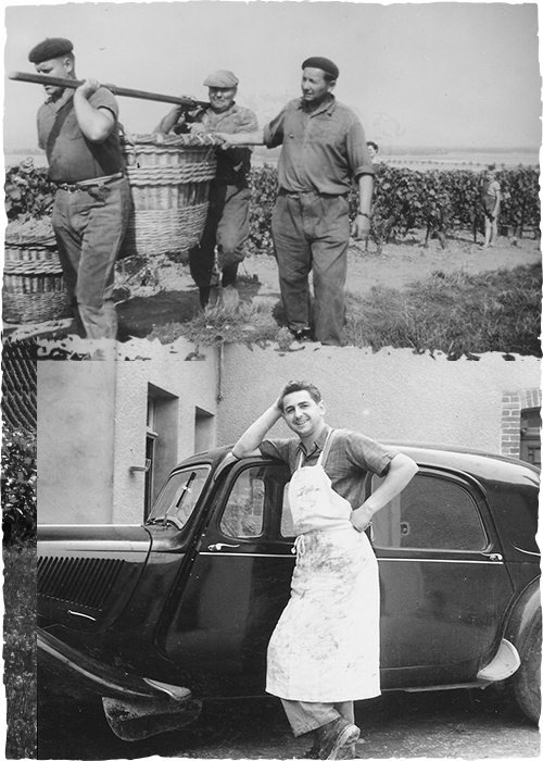 Champagne Pierre Legras, Grand cru à Chouilly - Winemakers from father to son  since 11 generations