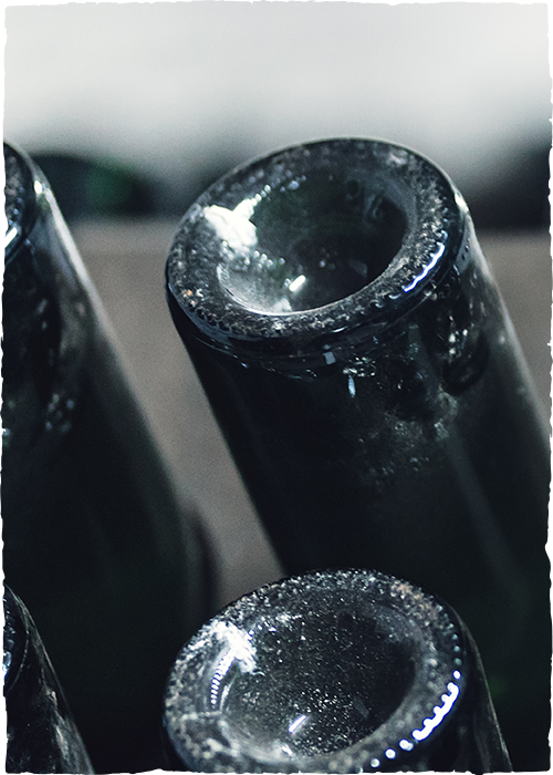 Champagne Pierre Legras, Grand cru à Chouilly - Savoir révéler les caractères de son terroir