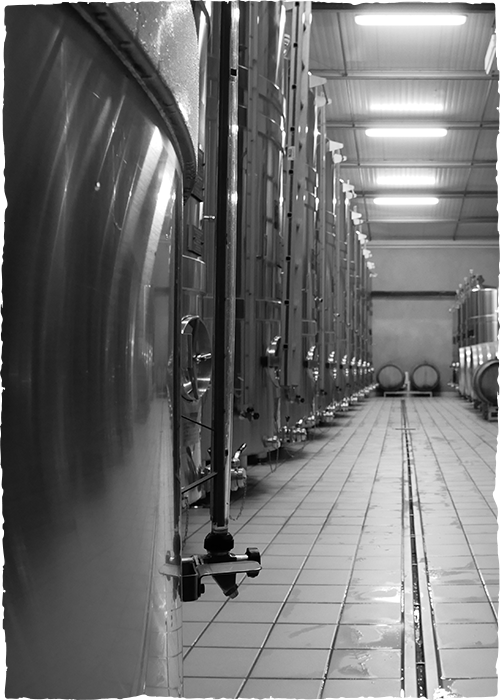 Champagne Pierre Legras, Grand cru à Chouilly - Equipment to match  great  ambitions