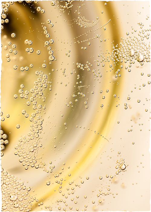 Champagne Pierre Legras, Grand cru à Chouilly - The expression  of a terroir 